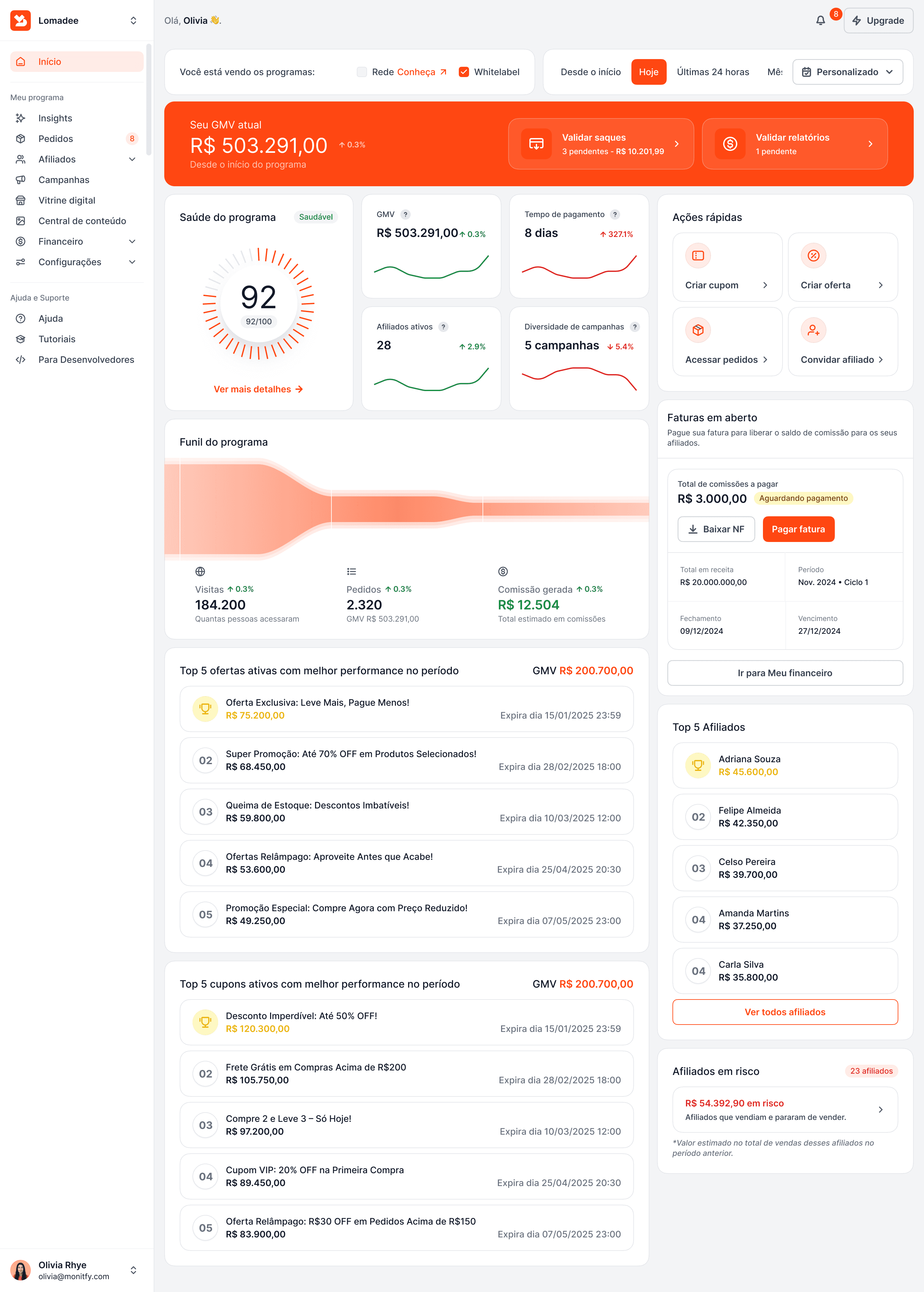Preview of the Lomadee platform for advertisers